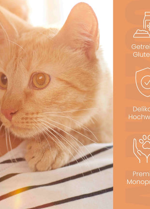 Lachs + Huhn Nassfutter für Katze