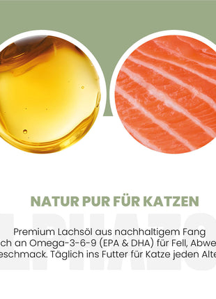 Lachsöl für Katzen