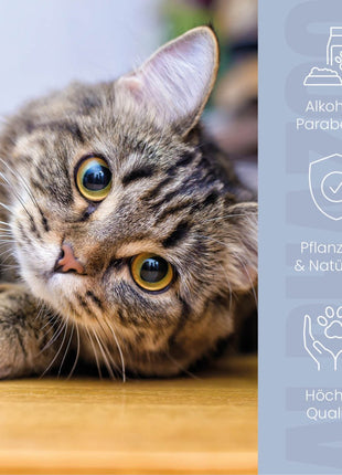 Lauscher-Auf Ohrenreiniger für Katzen