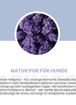 Lavellness Fellspray für Hunde