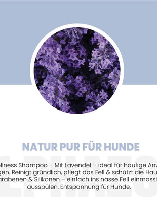 Lavellness Shampoo für Hunde