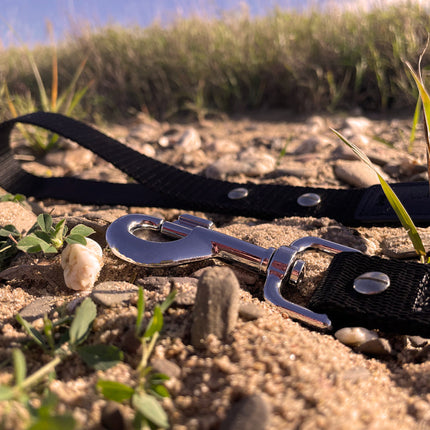 Hundeleine UM'S ECK (1,50 m) aus BioThane®/POP - Band