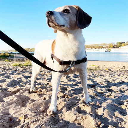 Anti-Stress-Geschirr STURMFREI®, Größe S