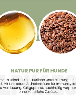Leinöl für Hunde
