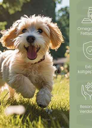 Leinöl für Hunde