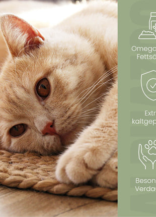 Leinöl für Katzen