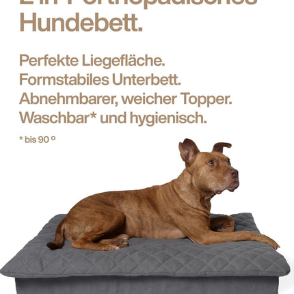 Lous 2 in 1 Hundebett mit abnehmbarem Topper für zu Hause und unterwegs.