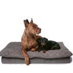 Anthrazit Grau / L ca. 90 x 60 x 10 cm