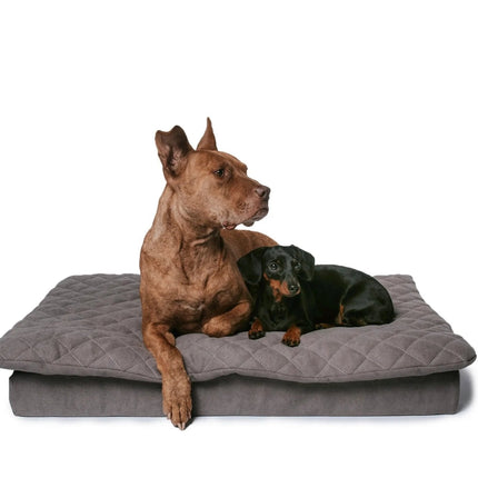 Lous 2 in 1 Hundebett mit abnehmbarem Topper für zu Hause und unterwegs.