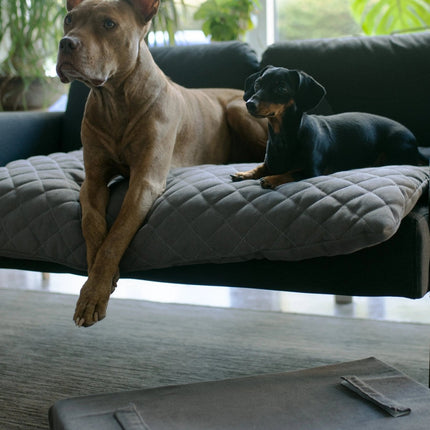 Lous 2 in 1 Hundebett mit abnehmbarem Topper für zu Hause und unterwegs.