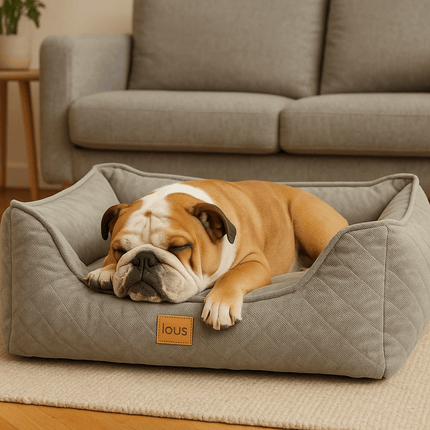 Lous Orthopädisches Hundebett – Premium Hundekissen