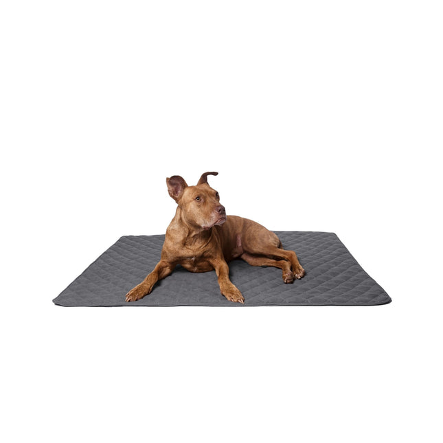 Lou's große und stilvolle Hundedecke