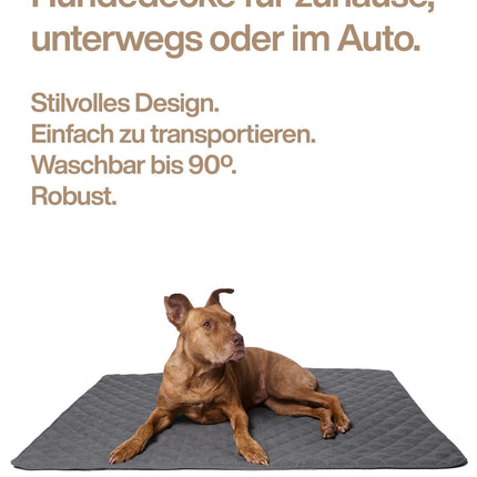 Lou's große und stilvolle Hundedecke