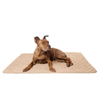 Beige / L ca. 98x67x3cm