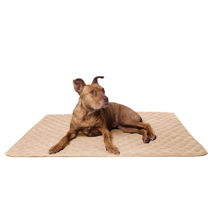 Lou's große und stilvolle Hundedecke