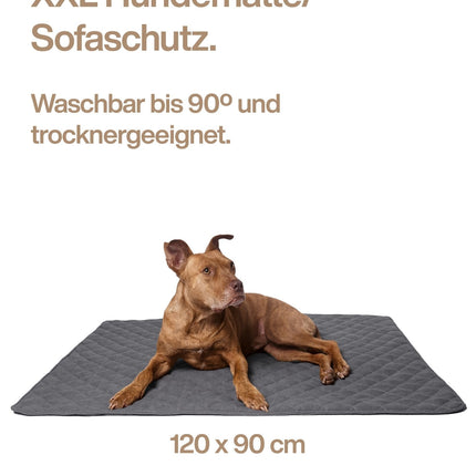 Lou's große und stilvolle Hundedecke