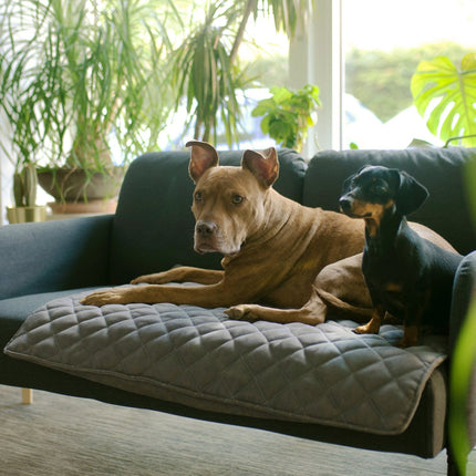 Lou's große und stilvolle Hundedecke