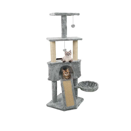 Cat creeper-grey-1