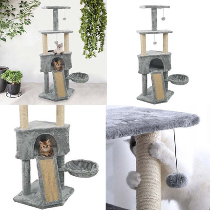 Cat creeper-grey-2