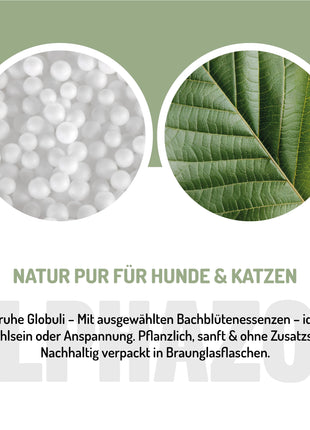 Magenruhe Bachblüten