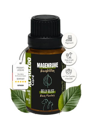 Magenruhe Bachblüten