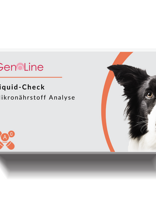 Mikronährstoff-Test Hund
