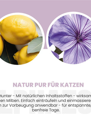MilbHunter Spot-On für Katzen