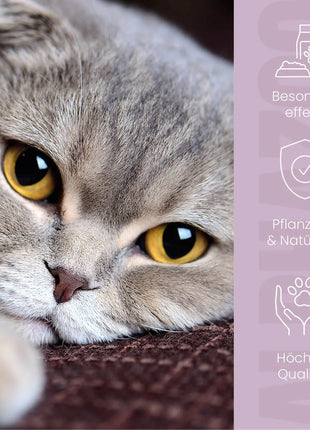 MilbHunter Spot-On für Katzen