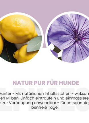 MilbHunter Spot-On für Hunde