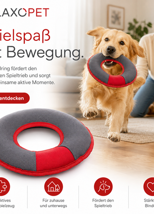 PLAY | Multi-Ring
