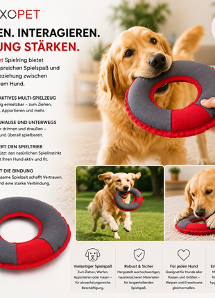 PLAY | Multi-Ring