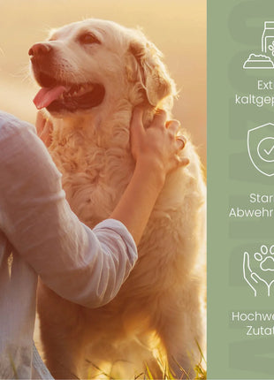 Nachtkerzenöl für Hunde