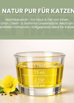 Nachtkerzenöl für Katzen