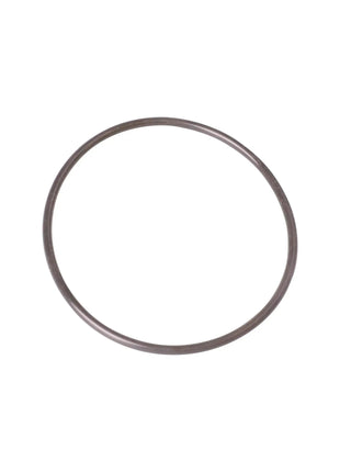 OASE O-Ring SI 100 x 4 SH45 – Ersatzteil