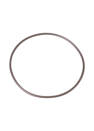 OASE O-Ring Viton 102 x 3 SH50 A – Ersatzteil