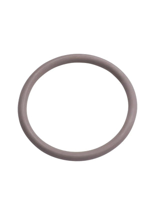 Oase O Ring Viton 65 X 6 SH50 A Ersatzteile Für Bitron C 72 W Und Bitron C 110 W