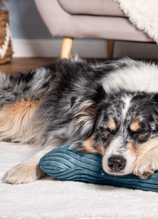 Kissen KUSCHELKNOCHEN Cord