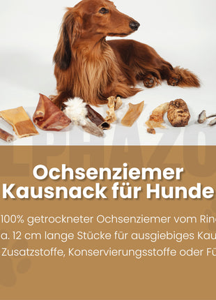 Ochsenziemer