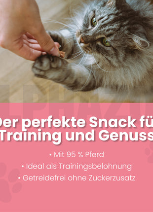Pferdammt Lecker