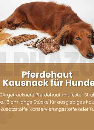 Pferdehaut