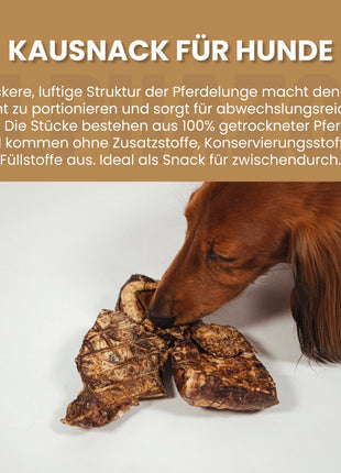 Pferdelunge