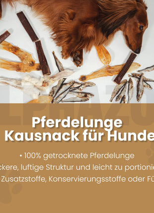 Pferdelunge