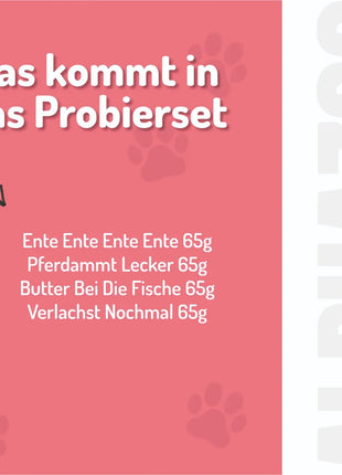 Probierset Leckerli Katze