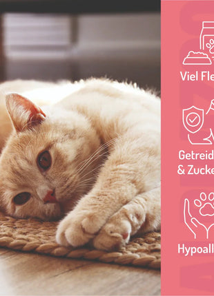 Probierset Leckerli Katze