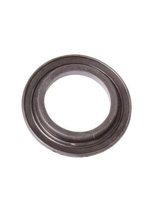 OASE Profildichtung D35 x 5 – Ersatzteil