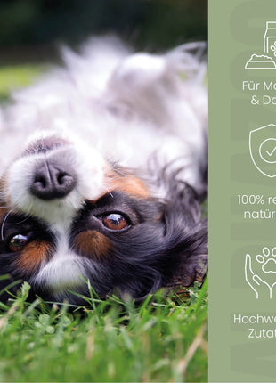 Pupsbremse Futteröl für Hunde