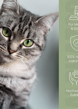 Pupsbremse Futteröl für Katzen