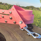 Rosa (ca. 175 cm) / BioThane® / 16 mm