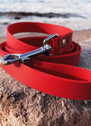 Hundeleine UM'S ECK (1,50 m) aus BioThane®/POP - Band