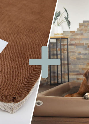 Orthopädisch-Plus Bundle | KUDDE Hundebett + Mumin Einlage Alltid